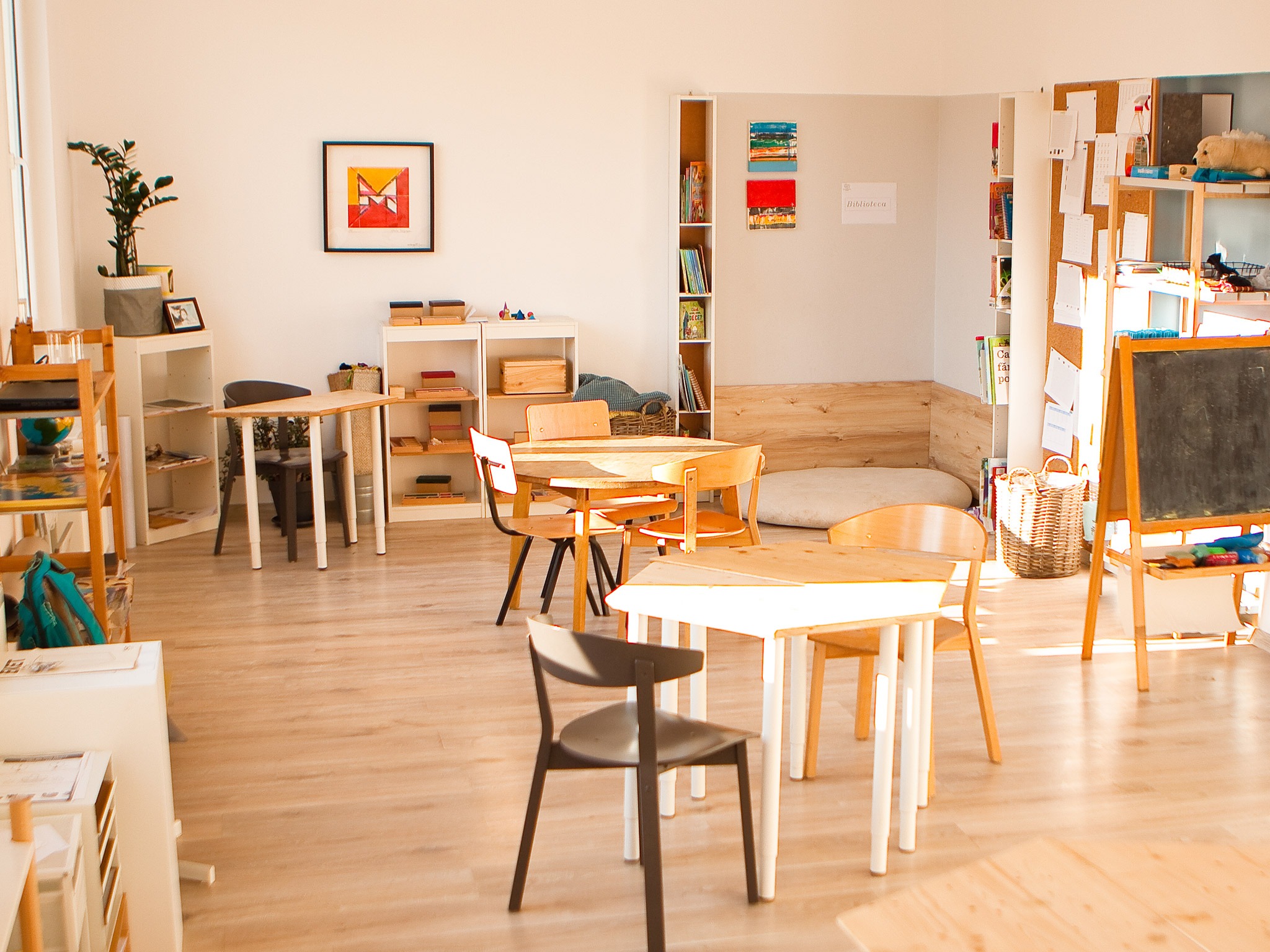 Scoala Montessori Brasov