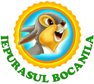 Logo Scoala Iepurasul Bocanila